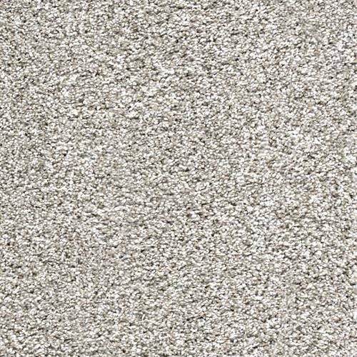 SFI Milestone II - 3964 New Puppy