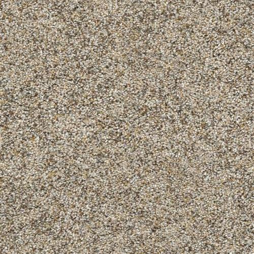 SFI Milestone II - 3967 Finishing College