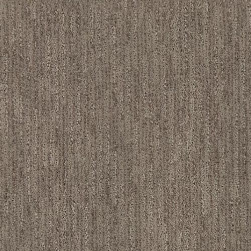 SFI Occupation - 4108 Doctor