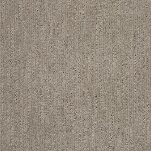 Textured Carpet