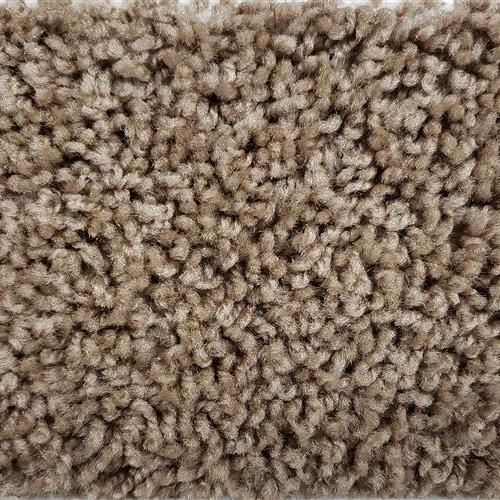 Friends 12 Ft. Solution Dyed Polyester 20 Oz. Carpet - Chandler 3892